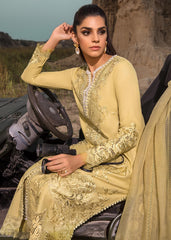 Honey Bloom | Saira Shakira