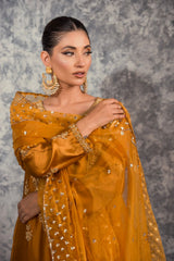 Miral code 2014 | Sehrish Nadeem