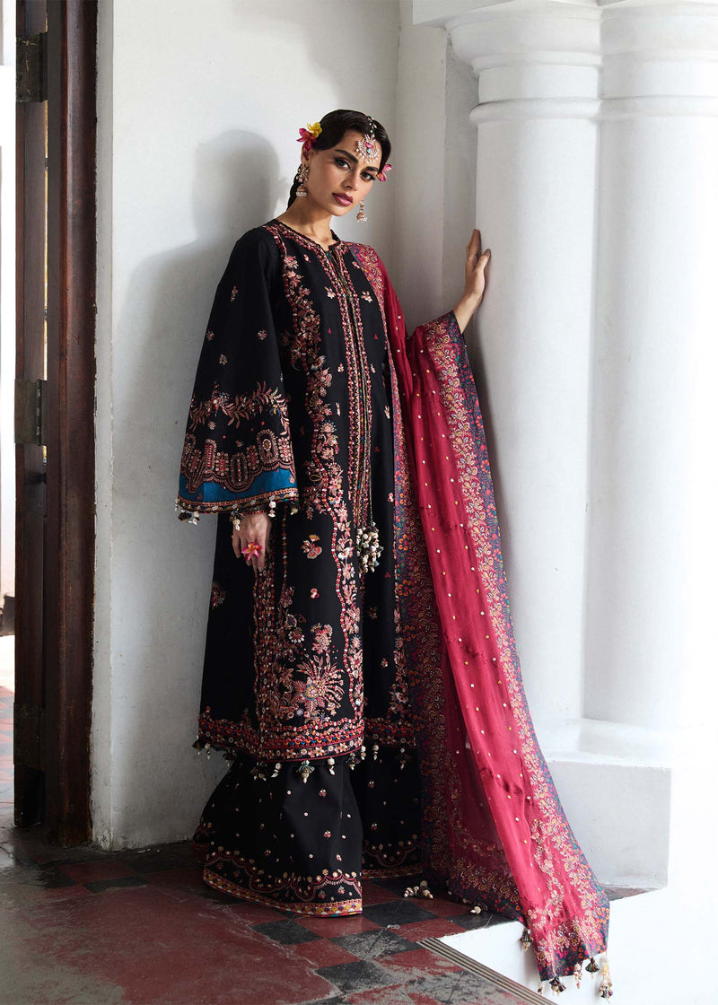 Bliz | Hussain Rehar